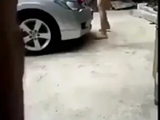 ao altyazılı milf pornosu dai viet nam